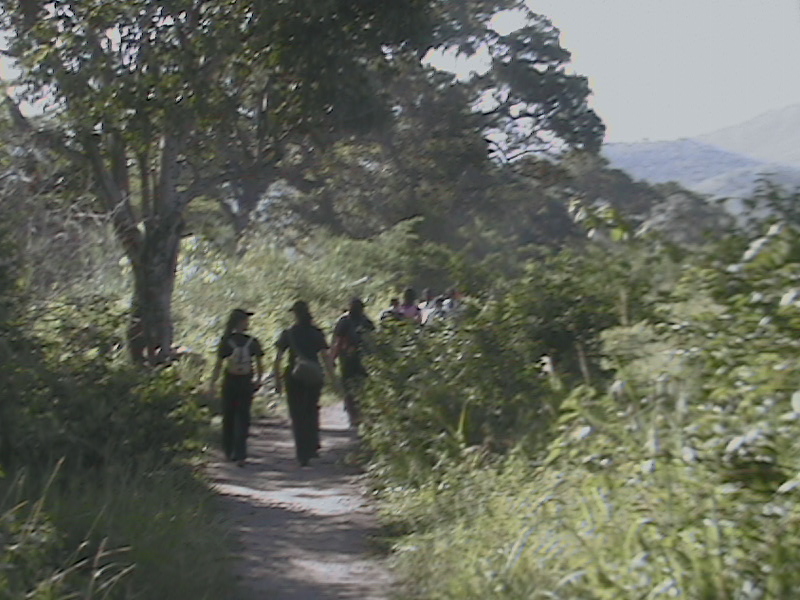 Iniciando la Excursion